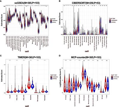 Frontiers | Characterization Of Immune Infiltration And Construction Of ...